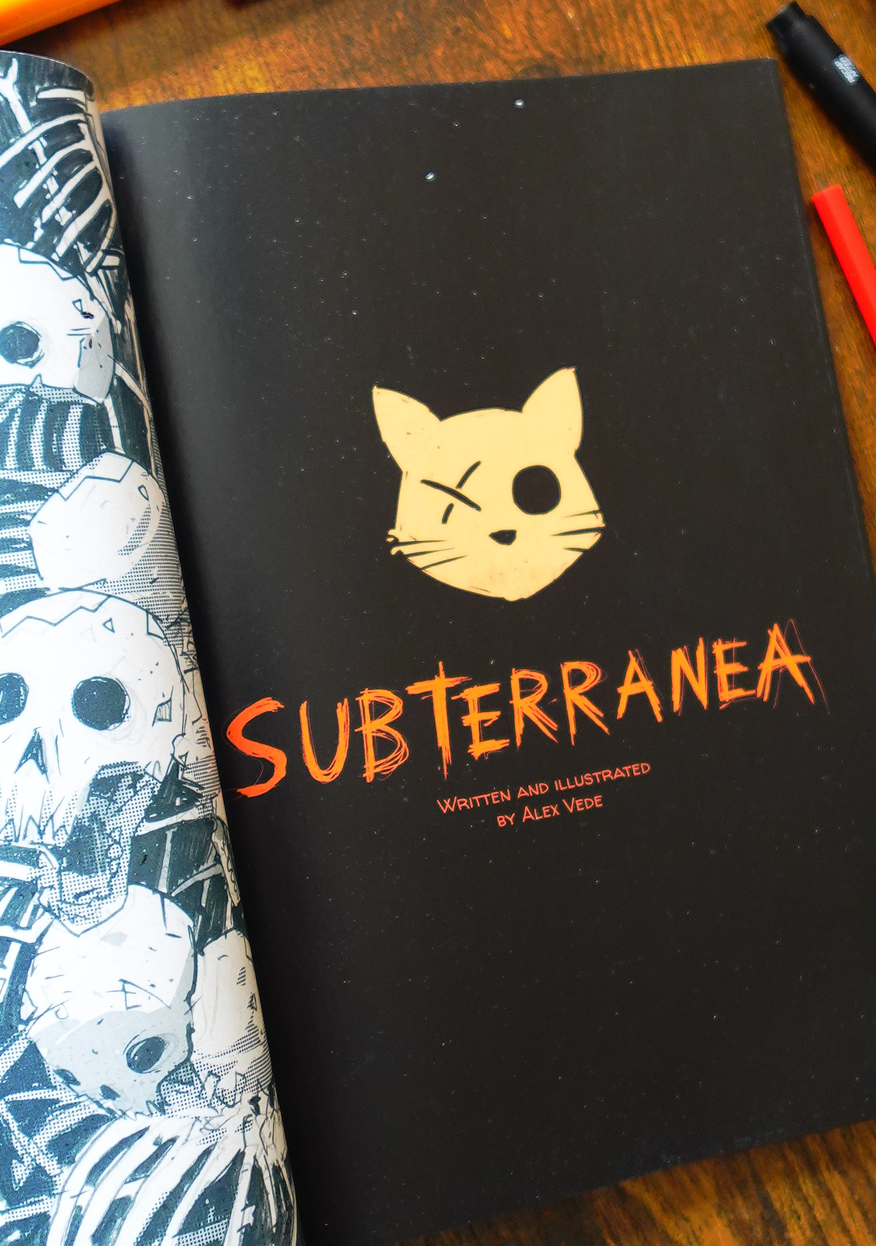 Subterranea-Graphic Novel